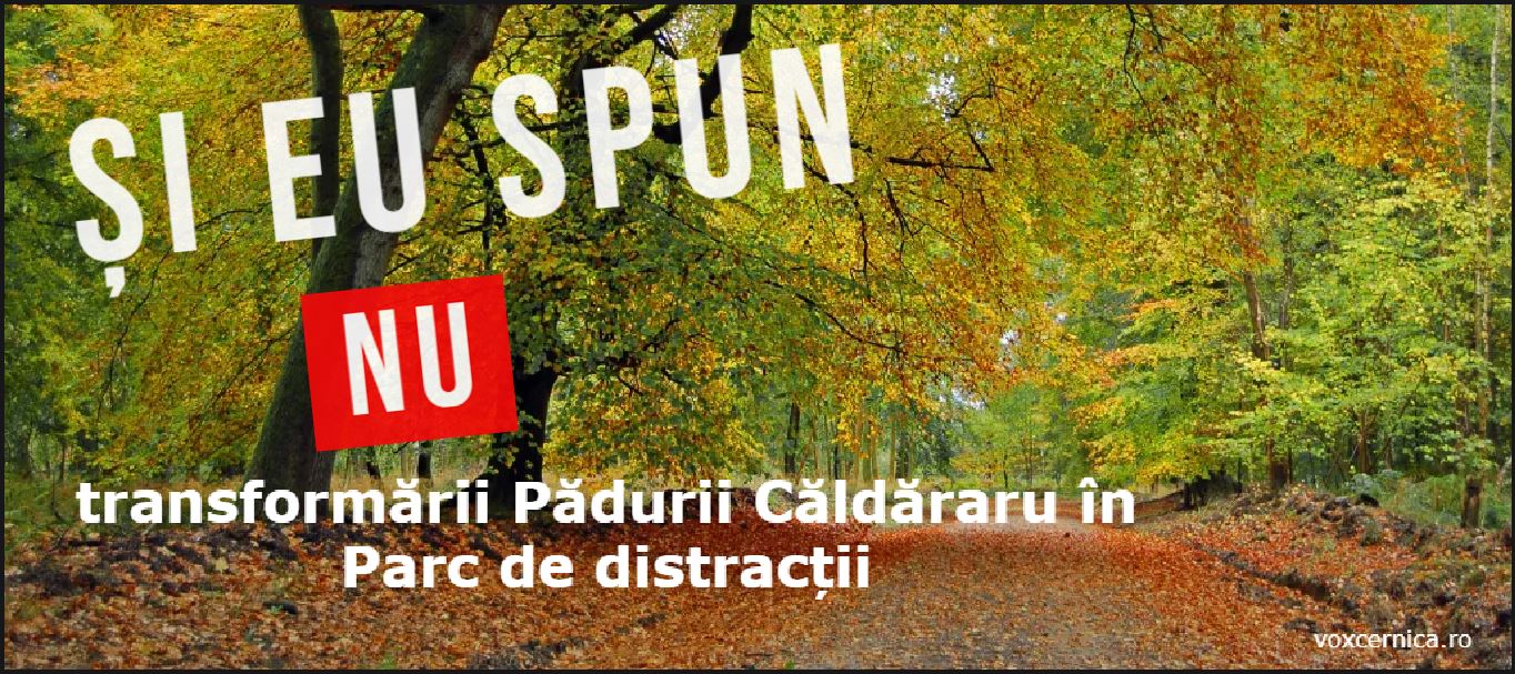 Padurea Caldararu