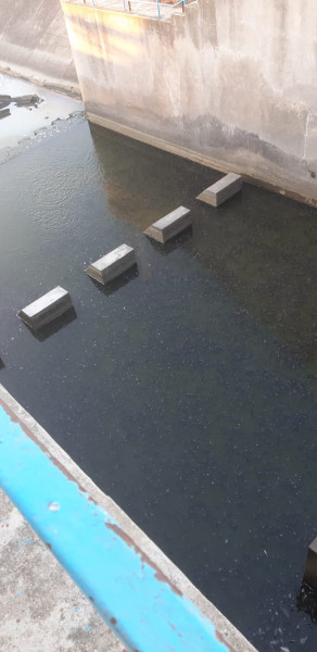 whatsapp image 2024 11 07 at 10.31.30c08c47