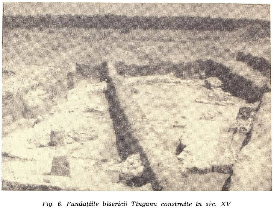 Complex Medieval Tanganu - Manastirea Tanganu