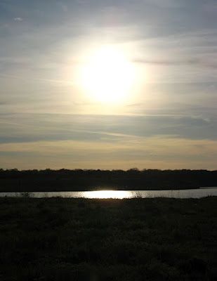 soare la manastirea cernica