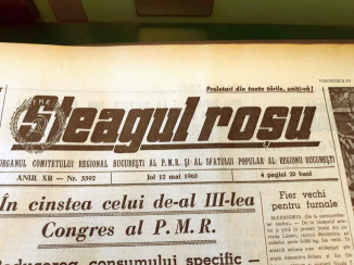 Steagul rosu 2 caldararu monografie