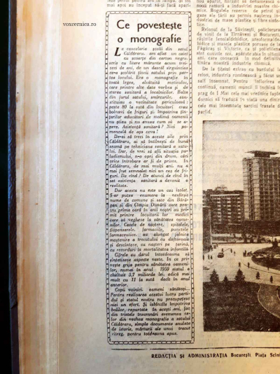 Steagul rosu 3 caldararu monografie