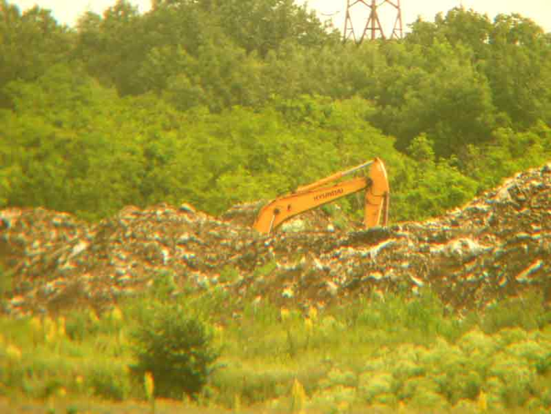 groapa-cernica-caldararu